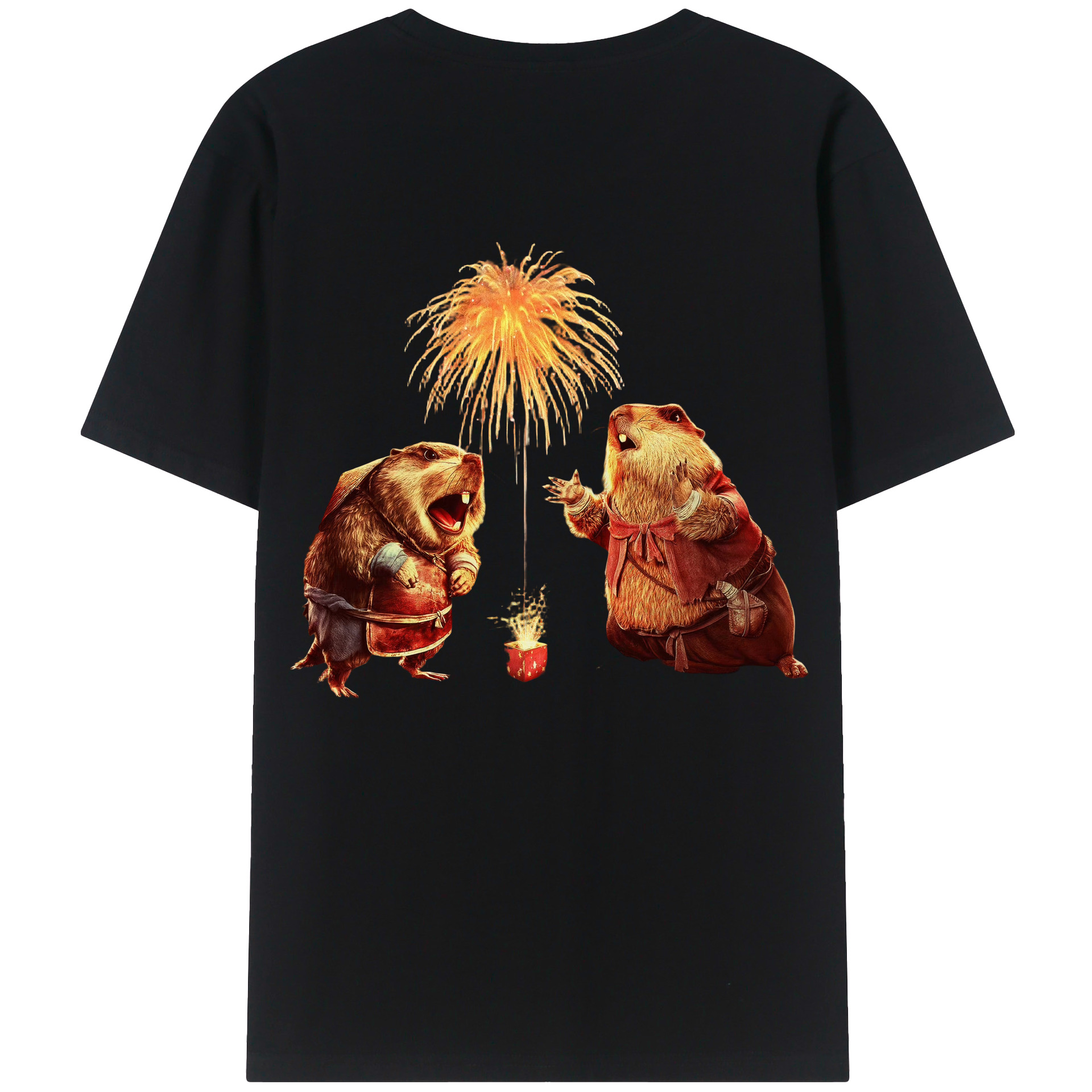 （画像用） Ne Zha 2 ナタ 魔童の大暴れ レディース半袖Tシャツ(バックプリント)