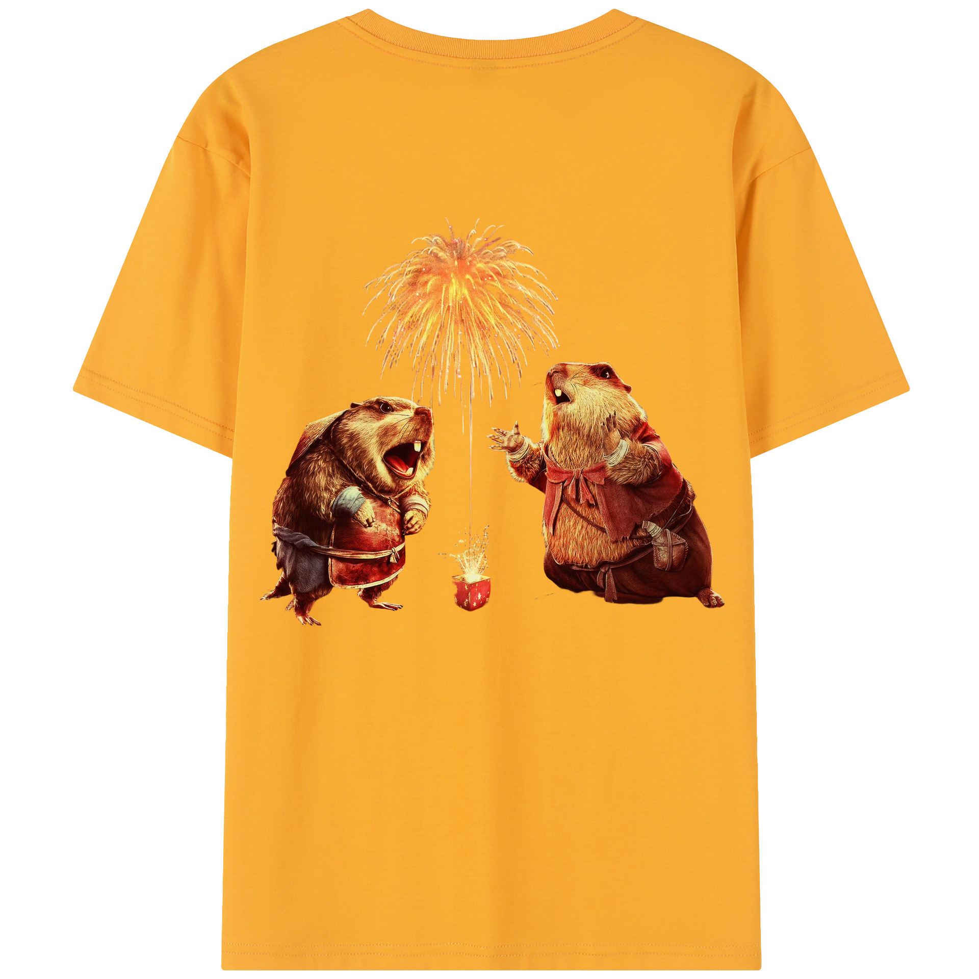 （画像用） Ne Zha 2 ナタ 魔童の大暴れ レディース半袖Tシャツ(バックプリント)