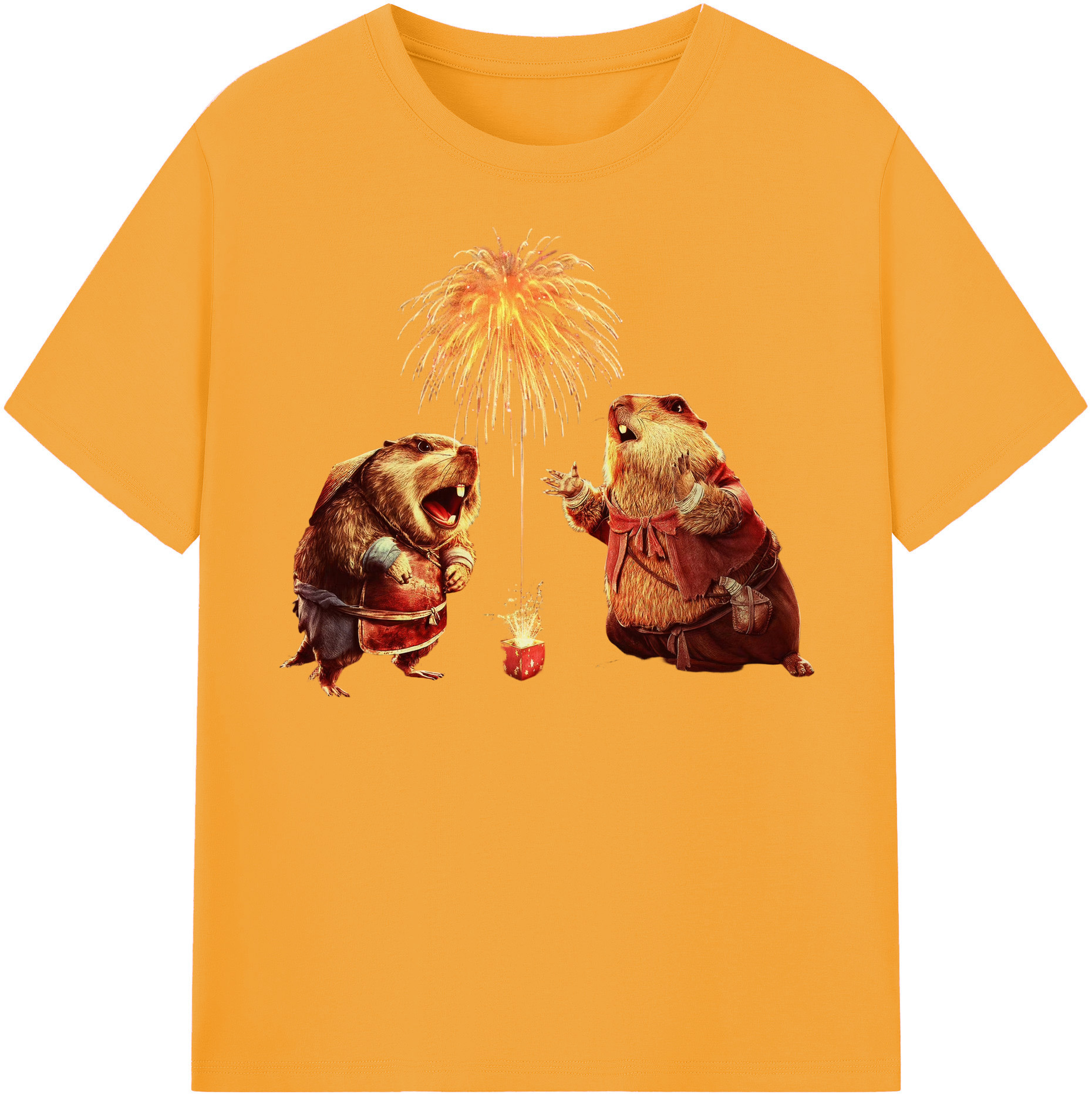 （画像用） Ne Zha 2 ナタ 魔童の大暴れ 綿100％半袖Tシャツ（フロントプリント）